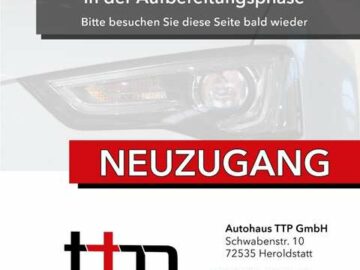 Audi RS4 Avant 2.9 TFSI Matrix-LED Head-UP Optik-Paket